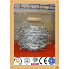 2014 Hot Dipped Galvanized Razor Barbed Wire (TYE-16)